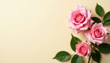 Obraz premium Soft pink roses with greenery on cream background, watercolor, floral pattern