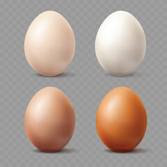 Realistic Eggs with Different Shell Colors in 3D Vector