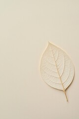 Nature closeup of water drop on leaf tranquil environment macro photography detailed viewpoint
