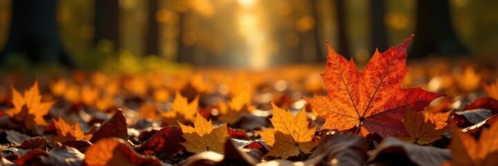 Freshly fallen autumn leaves on forest floor , natural, organic