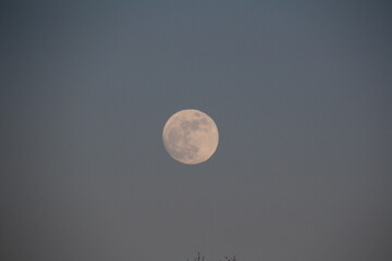 full moon in the sky