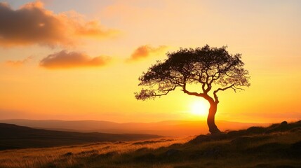 Obraz premium Serene Sunset Over Lone Tree Silhouette in Beautiful Landscape with Orange Sky and Clouds