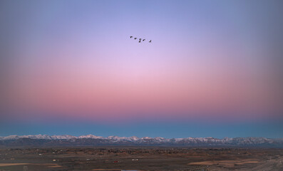 Moab Sunset Desert sky birds 