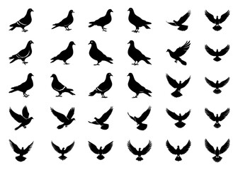 Fototapeta premium Pigeon silhouette photo set vector illustration free download 