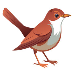 A small, brown bird with a slightly cocked tail and a pale throat stands against a white background.