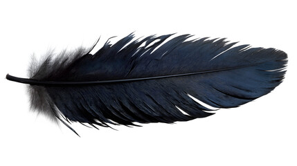 Crow feather black and glossy texture isolated on white background