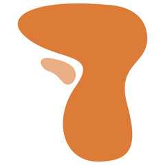 Abstract orange blob shape with fluid curves and minimal style, ideal for modern graphic designs, background art, or decorative visual elements.