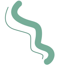 Abstract green wavy shape with smooth curves and minimal design, perfect for decorative elements, backgrounds, or modern graphic design projects.