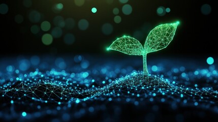 Digital seedling growth in a network landscape