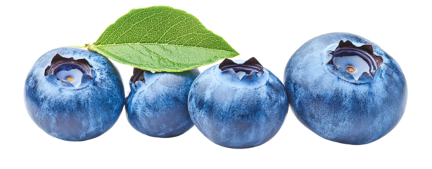 blue butterfly on white background, isolated on white background, 3d  PNG