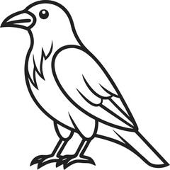 crow outline icon on transparent background