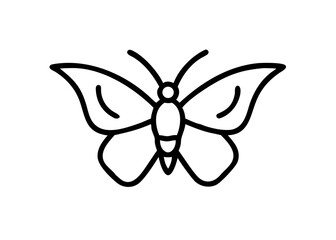 Obraz premium moth. Insect Icon.