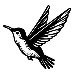 Hummingbird bird black vector