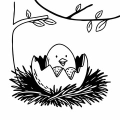 Obraz premium Cute cartoon baby bird in nest on tree branch, black and white line drawing with bold outlines, whimsical minimalist sketch, children’s book style, circular nature-themed composition