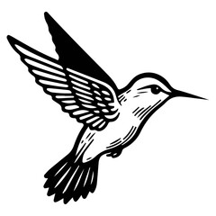 Hummingbird flying bird vector