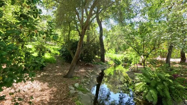 footage of a small creek with lush green trees and plants and colorful flowers at Descanso Gardens La Canada Flintridge California USA