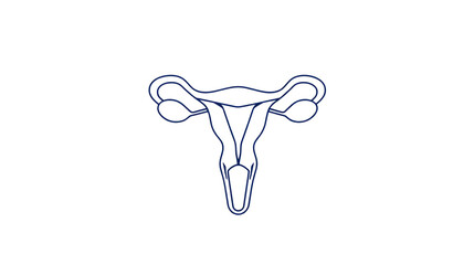 Outline style health care ui icon collection. Vector linear illustration. External female reproduction system anatomy vulva symbol isolated on white. Design for healthcare, gynecology infographic