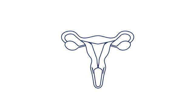 Outline style health care ui icon collection. Vector linear illustration. External female reproduction system anatomy vulva symbol isolated on white. Design for healthcare, gynecology infographic