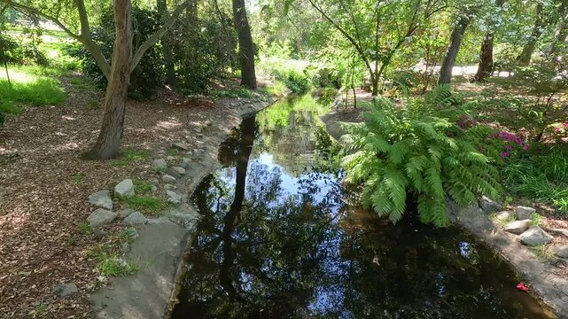 footage of a small creek with lush green trees and plants and colorful flowers at Descanso Gardens La Canada Flintridge California USA