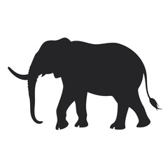 Fototapeta premium Simple and Elegant Elephant Silhouette Vector Art on a Transparent Background
