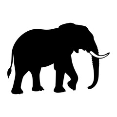 Fototapeta premium Simple and Elegant Elephant Silhouette Vector Art on a Transparent Background