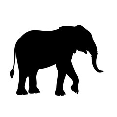 Fototapeta premium High-Quality Black Elephant Silhouette Vector on Transparent Background