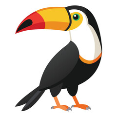 toucan isolated on white