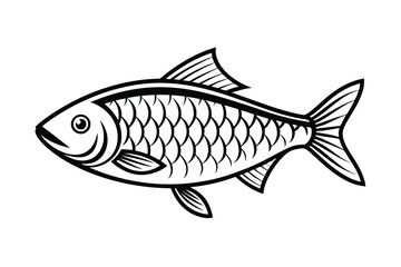 Fish vector silhouette on a white background