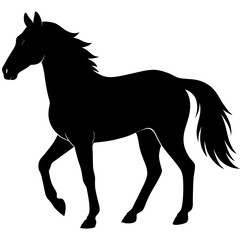 black horse vector