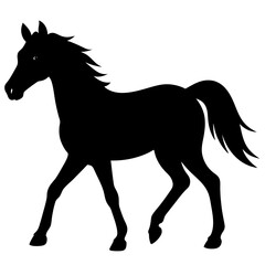 black horse vector