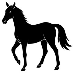 horse vector