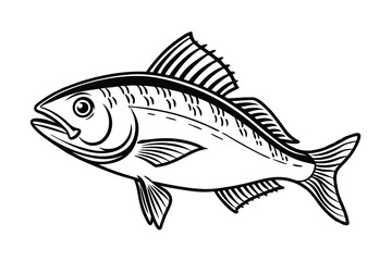 Fish vector silhouette on a white background