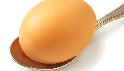 Egg on Spoon, White Background