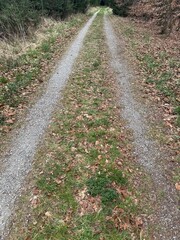 path in the park