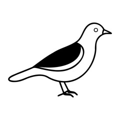 Myna Bird Silhouette Vector Clean Black Line Art for Designers