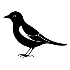 High-Quality Myna Bird Line Art Black Vector Isolated on Transparent Background