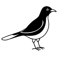 Myna Bird Line Art Vector Black Silhouette Isolated on Transparent Background