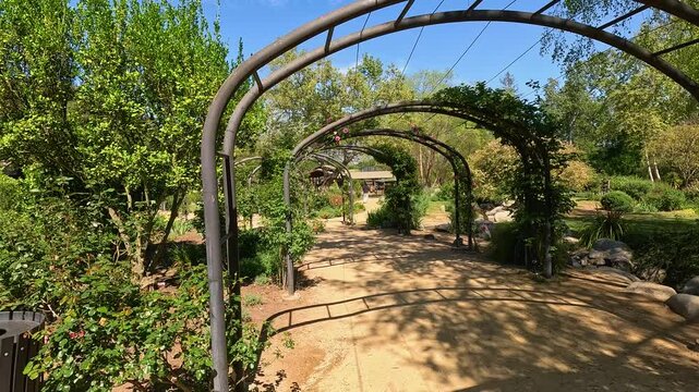 footage of a water fountain with lush green trees and plants and colorful flowers at Descanso Gardens La Canada Flintridge California USA