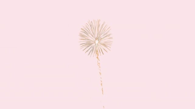Vibrant fireworks illuminate night animated overlay, transparent 4K video, alpha channel, ProRes 4444