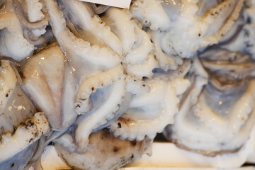 Freshly prepared octopus at a local seafood market in the city