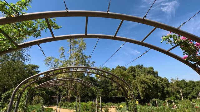 footage along a winding dirt path in the garden with lush green trees and colorful flowers at Descanso Gardens La Canada Flintridge California USA