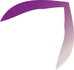 Pink Graphic Elements with Subtle Framing and Decorative Shapes for Modern Creative Projects