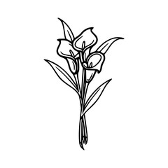 elegant calla lily bouquet vector illustration
