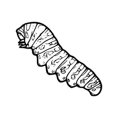 detailed caterpillar vector illustration