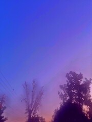 Obraz premium sky and tree