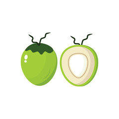 Coconut Fruit Icon Color 