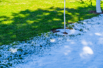 Snow melting in spring on a sunny morning. Half of the lawn is covered with snow and half with...