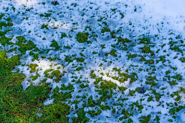 Snow melting in spring on a sunny morning. Half of the lawn is covered with snow and half with...