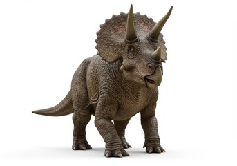 Fototapeta premium A full body shot of a triceratops dinosaur standing on a white background with its tail visible