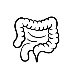 hand-drawn sketch human intestine illustration